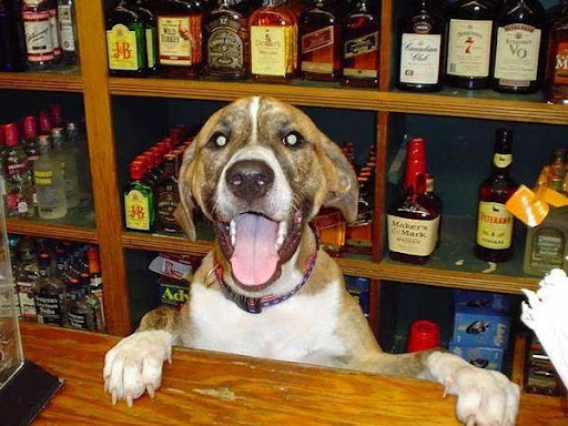 Beach Package Store Inc, 3015 E Las Olas Blvd, Fort Lauderdale, FL 33316, USA, 