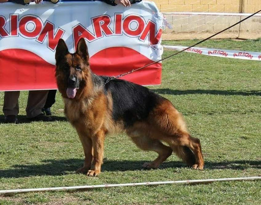 Residencia Canina El Cerrolén