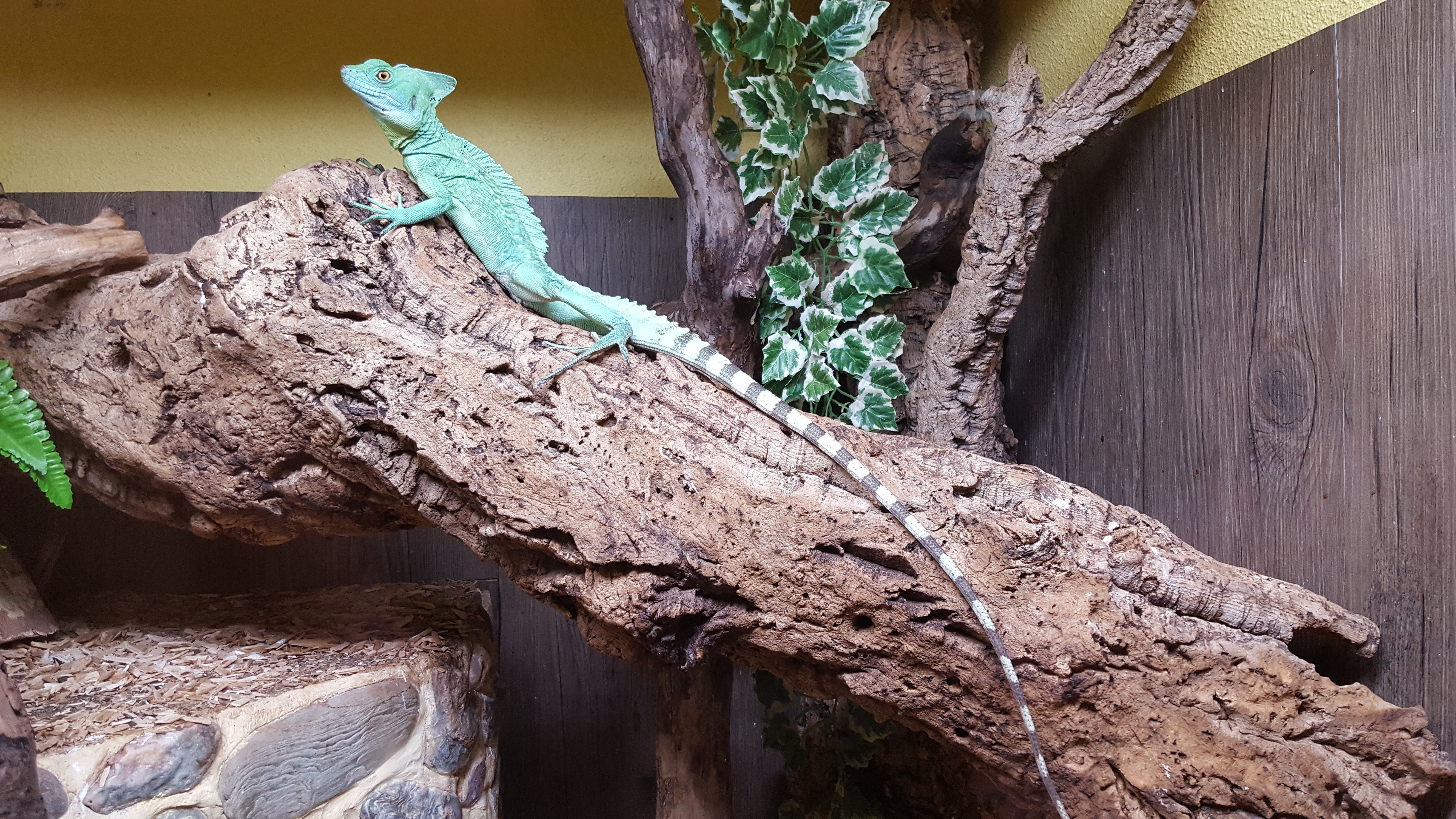 Photo n° 8 de l'avis de Thierry. fait le 23/07/2019 à 16:52