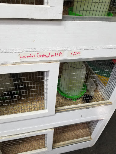 Animal Feed Store «Farmers Feed & Pet Supply», reviews and photos, 1302 E Miner Ave, Stockton, CA 95205, USA