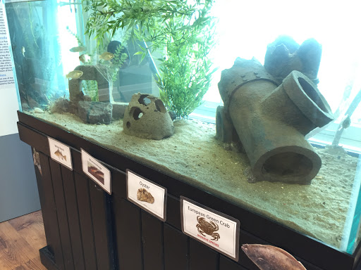 Nature Preserve «DuPont Nature Center», reviews and photos, 2992 Lighthouse Rd, Milford, DE 19963, USA