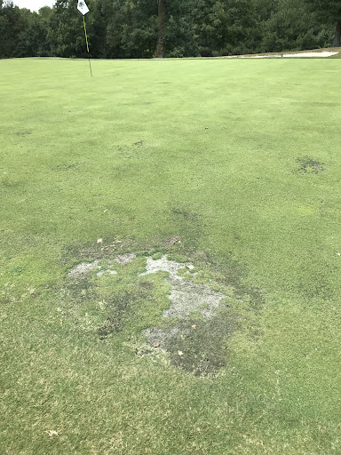 Golf Course «Gatlinburg Golf Course», reviews and photos, 520 Dollywood Ln, Pigeon Forge, TN 37863, USA