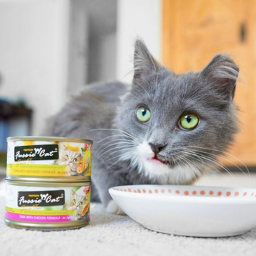 Pet Supply Store «Dogge Style Pets Passyunk», reviews and photos, 1700 E Passyunk Ave, Philadelphia, PA 19148, USA