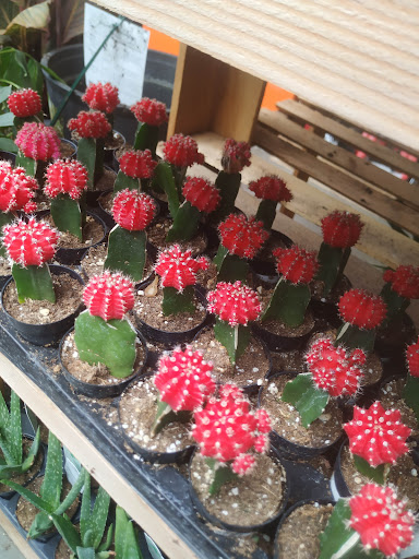 Home Improvement Store «The Home Depot», reviews and photos, 6000 Johnson Dr, Pleasanton, CA 94588, USA