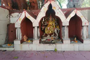 Chamunda Devi Temple (Chamunda Chowk) image