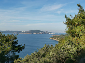 Büyükada Tabiat Parkı