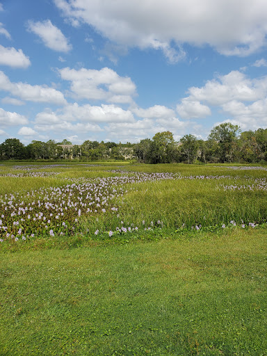 Golf Course «The Claw at USF», reviews and photos, 13801 N 46th St, Tampa, FL 33613, USA