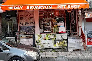 MİRAY PETSHOP AKVARYUM image