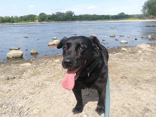 Park «Coon Rapids Dam Regional Park», reviews and photos, 10360 W River Rd, Brooklyn Park, MN 55444, USA