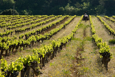 Domaine de Marie à Ménerbes