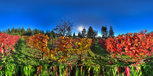 Winery «Bainbridge Vineyards», reviews and photos, 8989 NE Day Rd, Bainbridge Island, WA 98110, USA