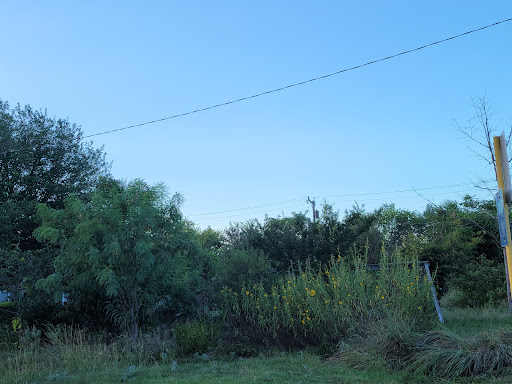 Olmos Park Terrace Community Garden image 4