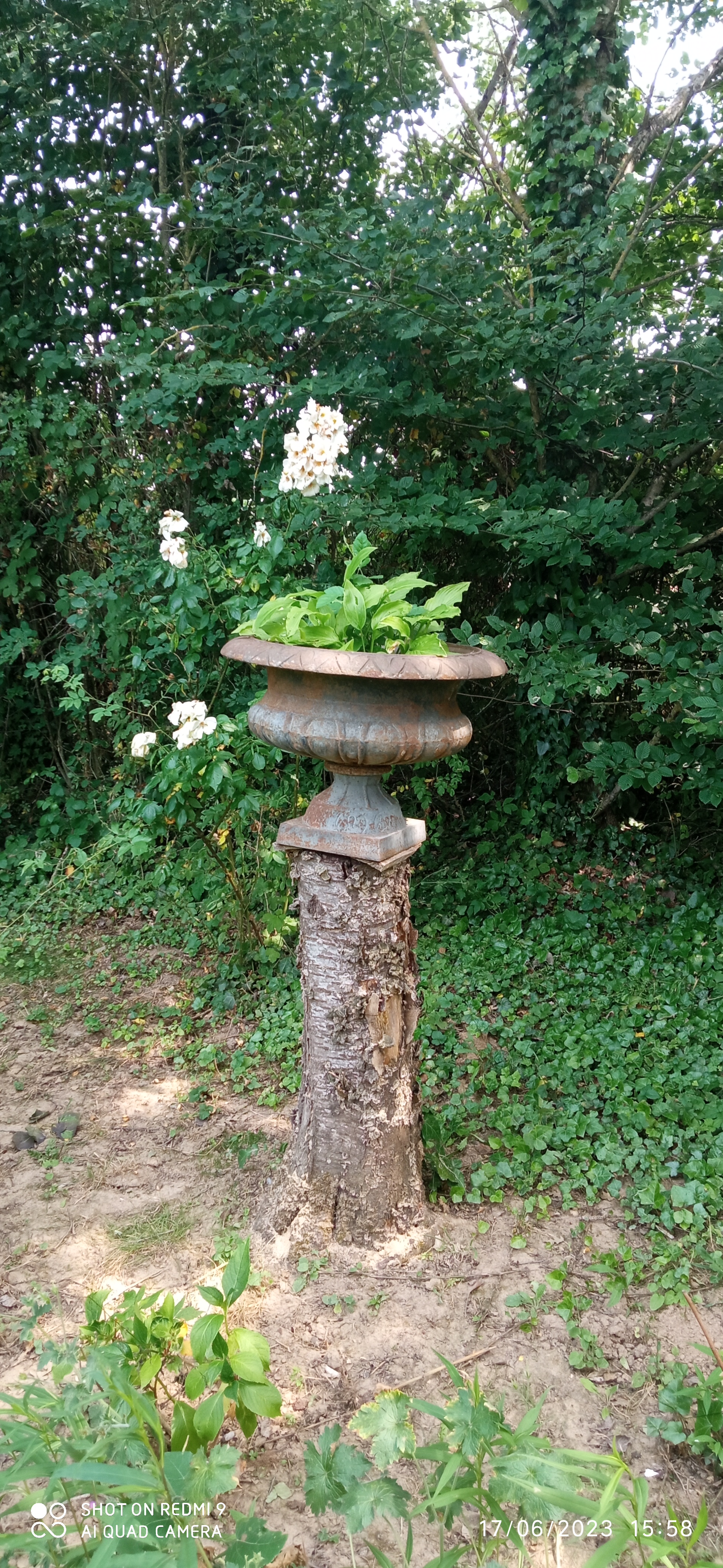 Photo n° 7 de l'avis de Karine.A fait le 17/06/2023 à 21:59
