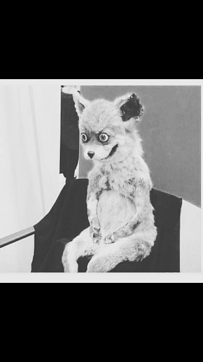 Pet Supply Store Â«Pet ValuÂ», reviews and photos, 416 Suncrest Towne