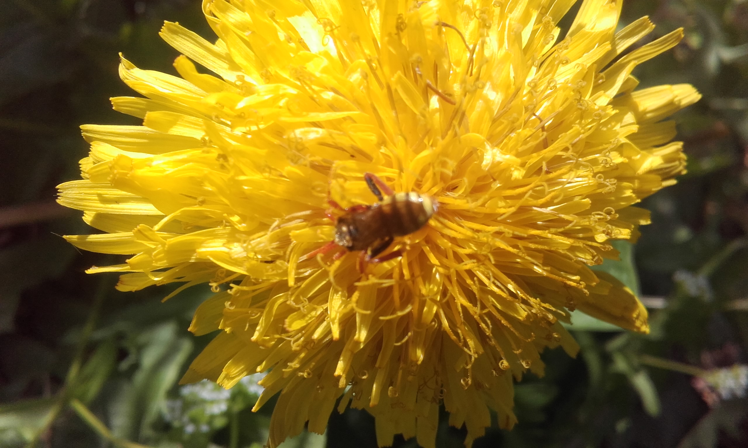 Photo n° 2 de l'avis de Olivier.i fait le 04/05/2017 à 16:04