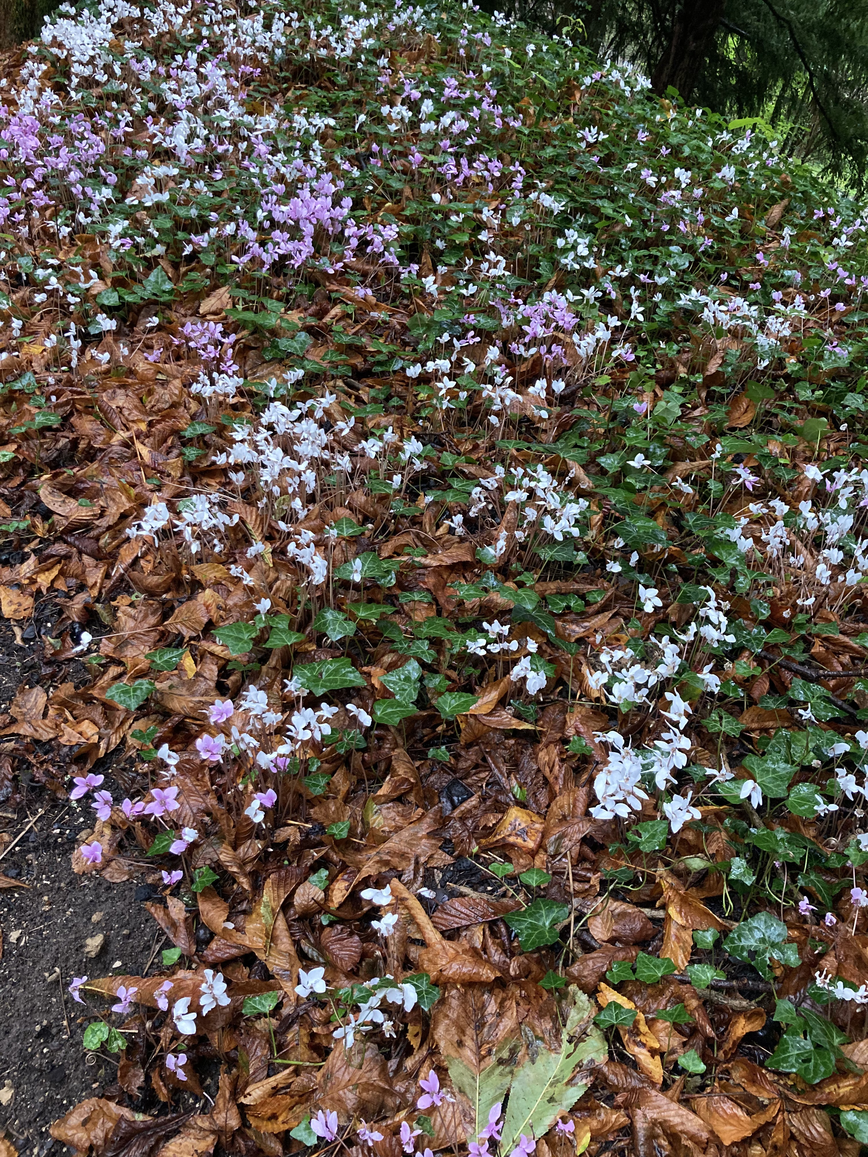 Photo n° 8 de l'avis de Marielle.o fait le 25/09/2023 à 09:44