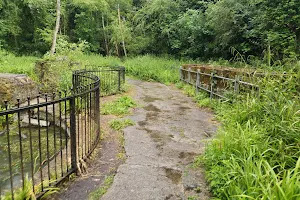 Berengrave Nature Reserve image