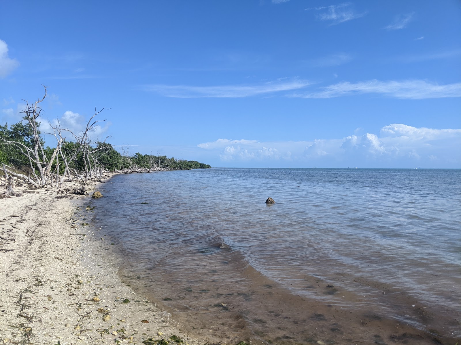 Φωτογραφία του Cocoa Plum beach και η εγκατάσταση