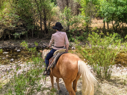 Leisurely Country Horseback Riding