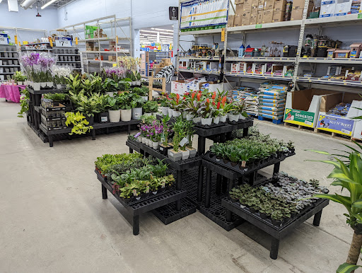 Department Store «Walmart Supercenter», reviews and photos, 33 Sherwood Dr, Tilton, NH 03276, USA