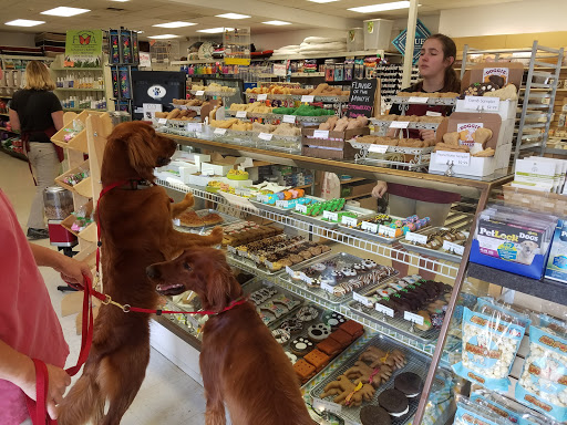 Pet Supply Store «Four Your Paws Only», reviews and photos, 1821 White Mountain Hwy, North Conway, NH 03860, USA