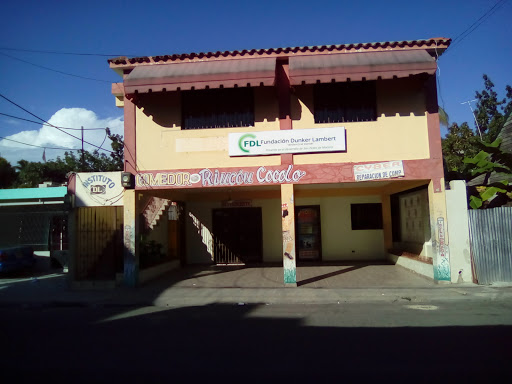 Criaderos de border collie en Punta Cana