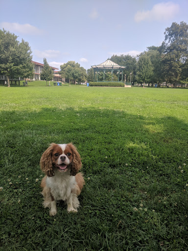 Park «Welles Park», reviews and photos, 2333 W Sunnyside Ave, Chicago, IL 60625, USA