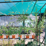 Photo n° 2 de l'avis de Audrey.h fait le 25/09/2023 à 15:21 pour Garden Center Quel à Sainte-Marie-aux-Chênes