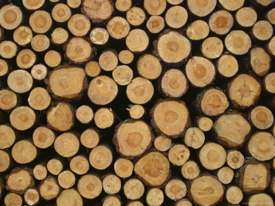 Lumber Store «Siwek Lumber & Millwork Inc», reviews and photos, 2536 Marshall St NE, Minneapolis, MN 55418, USA