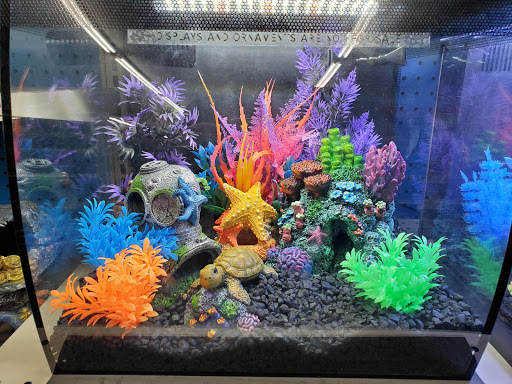 Pet Supply Store «Pet Supermarket», reviews and photos, 10291 Pines Blvd, Pembroke Pines, FL 33026, USA