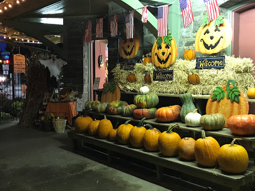 Garden Center «Chestnut Hill Flower & Garden», reviews and photos, 7639 Germantown Ave, Philadelphia, PA 19118, USA