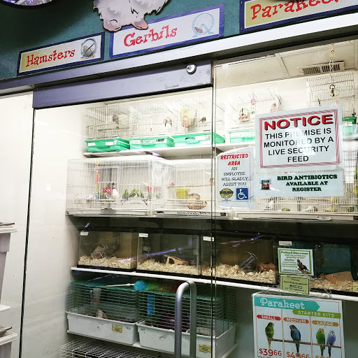 Pet Store «Petland Discounts - Pitkin Avenue», reviews and photos, 1689 Pitkin Ave, Brooklyn, NY 11212, USA