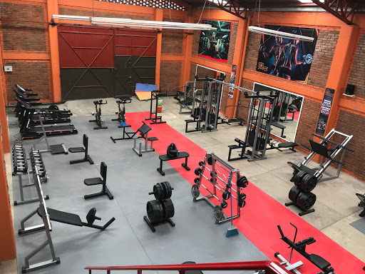 Linea Gym Morelia