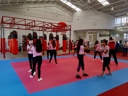 GIMNASIO FIRE SPORTS