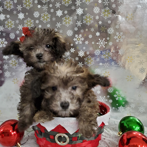 Pet Store «Fish Bowl Aquarium & Pet Mart», reviews and photos, 725 Providence St, West Warwick, RI 02893, USA