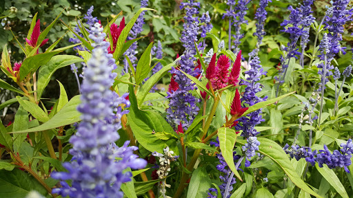 Winery «Summerset Winery», reviews and photos, 15101 Fairfax St, Indianola, IA 50125, USA