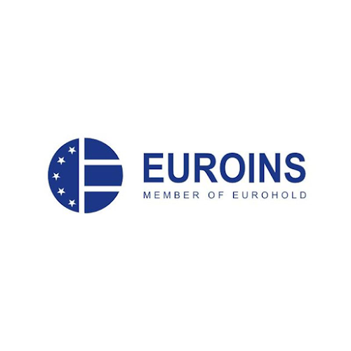 Euroins constatare daune Iasi