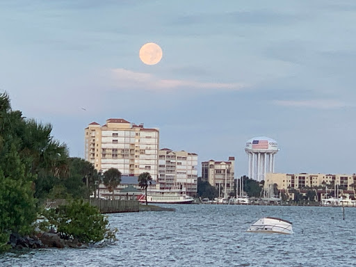 Supermarket «Publix Supermarket at Rockledge Crossing», reviews and photos, 3820 Murrell Rd, Rockledge, FL 32955, USA
