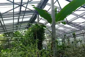 VMU Botanical Garden Greenhouse image