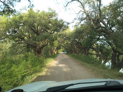 Reserva Natural Isla del Sol