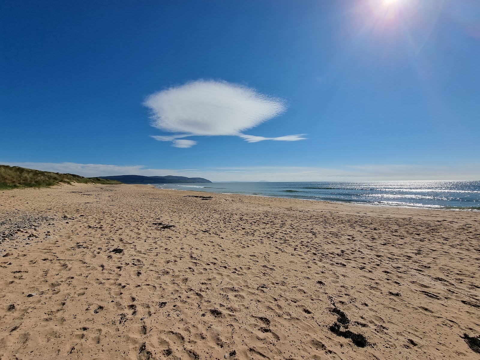 Foto von Westport Beach - guter haustierfreundlicher Ort für den Urlaub