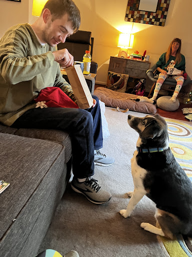 Pet Supply Store «Dogma Bakery», reviews and photos, 2772 S Arlington Mill Dr, Arlington, VA 22206, USA