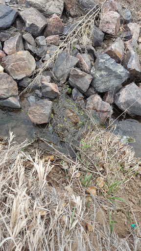 Park «Belmar Park», reviews and photos, 801 S Wadsworth Blvd, Lakewood, CO 80226, USA