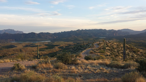 Tour Operator «Stellar Adventures», reviews and photos, 4026 E Broadway Rd, Phoenix, AZ 85040, USA