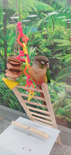 Pet Supply Store «Petco Animal Supplies», reviews and photos, 31419 Pacific Hwy S, Federal Way, WA 98003, USA