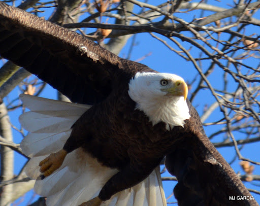 National Park «Fort Washington Park», reviews and photos, 13551 Fort Washington Rd, Fort Washington, MD 20744, USA