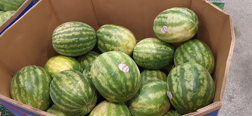 Warehouse club «Costco Wholesale», reviews and photos, 801 Tioga Ave, Sand City, CA 93955, USA