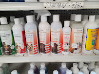 Yorba Linda Feed Store - Photo 9 - Car repair in Yorba Linda, CA, Anaheim