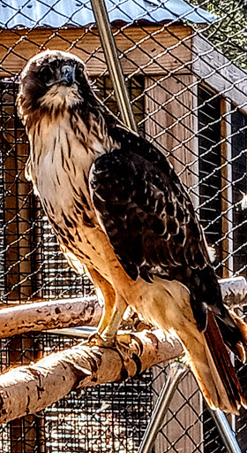 Animal Shelter «Animal Adventures Family Zoo & Rescue Center», reviews and photos, 336 Sugar Rd, Bolton, MA 01740, USA