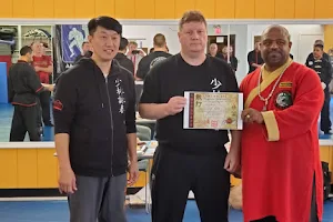 Meng's Shaolin Wing Chun Greenfield, Indiana image